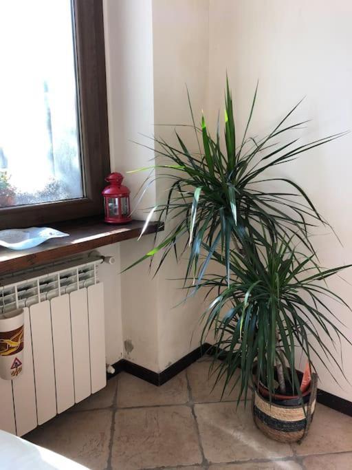 Ca' Cuore In Monferrato Serralunga di Crea Dış mekan fotoğraf