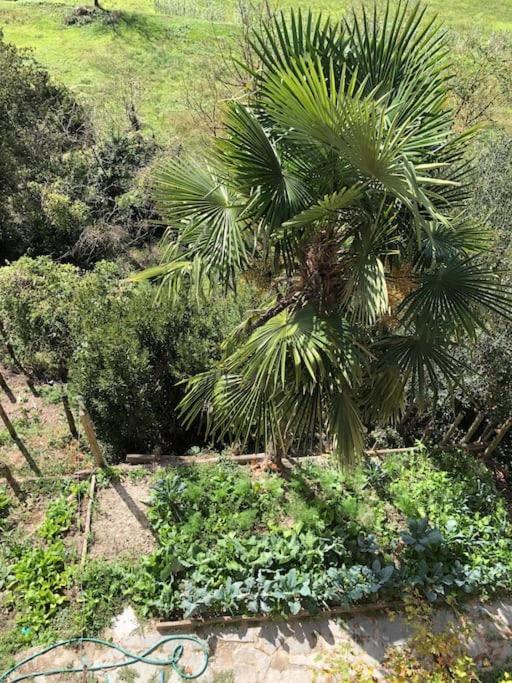 Ca' Cuore In Monferrato Serralunga di Crea Dış mekan fotoğraf